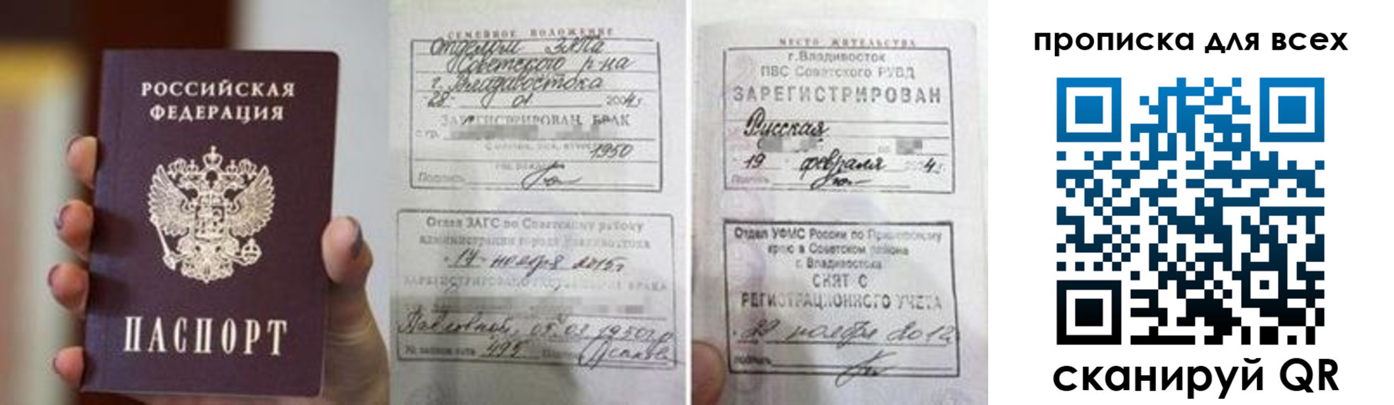 прописка гарантия в Стародубе